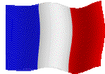 Animated Flag of French Guiana