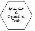 Hexagon: Actionable
& Operational Tools
