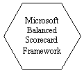 Hexagon: Microsoft 
Balanced Scorecard Framework
