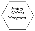Hexagon: Strategy 
& Metric Management
